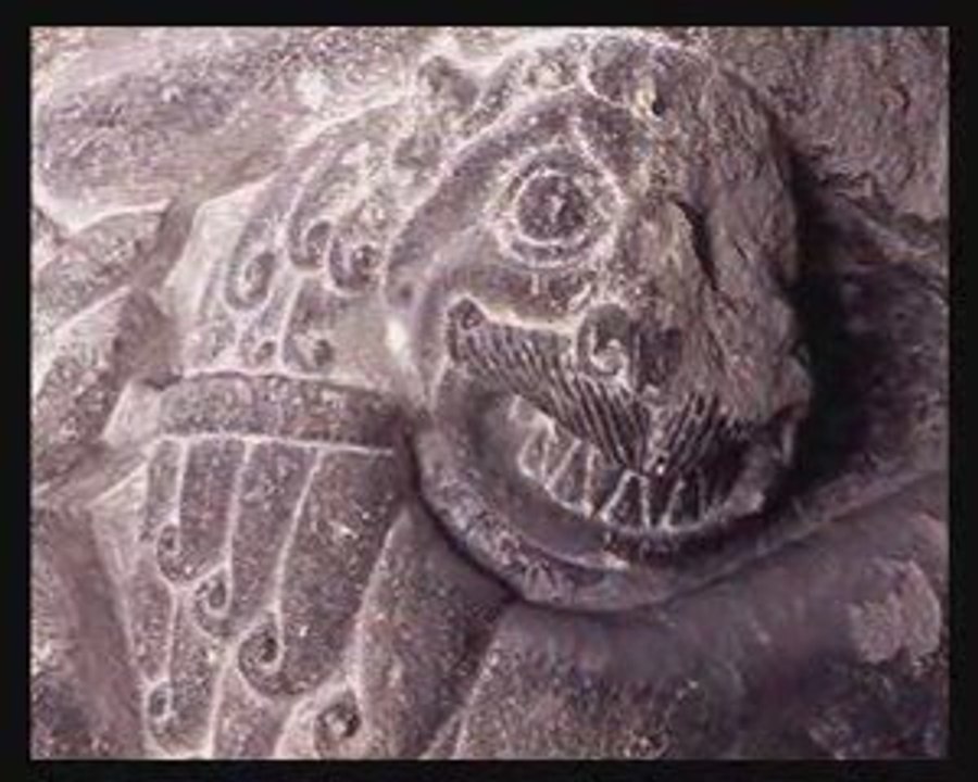 Vers St Jacques de Compostelle / Le Puy-en-Velay 7/8