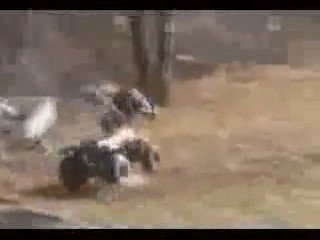 Fils de regis en quad