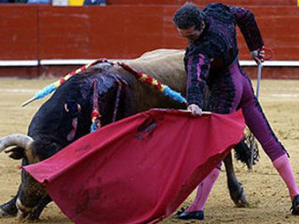 Valencia, 8 de Marzo