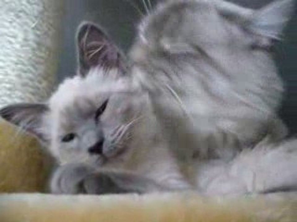 Daïa aide Dizzy à laver Daïa