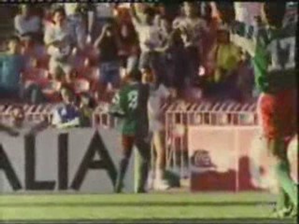 Lions indomptable
