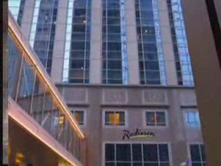 Hungry Bears dine at Timberlodge