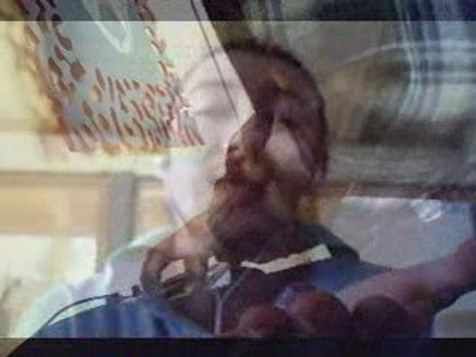 insectrelmsfeat species cruzing