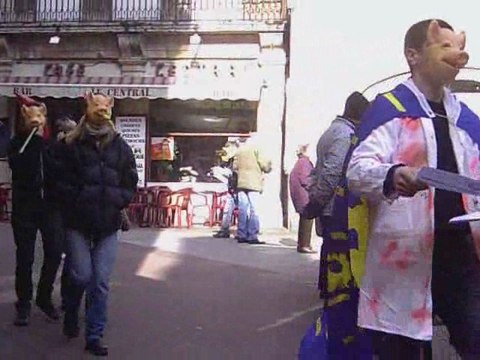 Front Comtois - Triangle du Bruit - 7 Mars 2009 - Dole