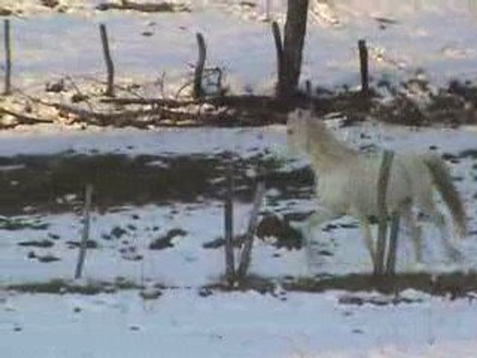 Descente vers Rivière