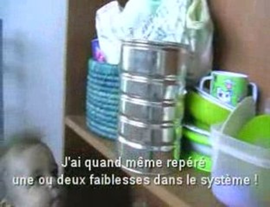 Notre maison en l'air !