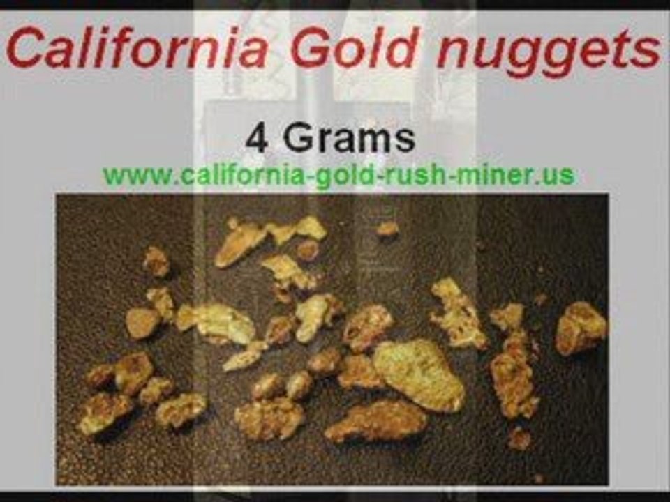 White's TDI Metal Detector - Gold Prospecting