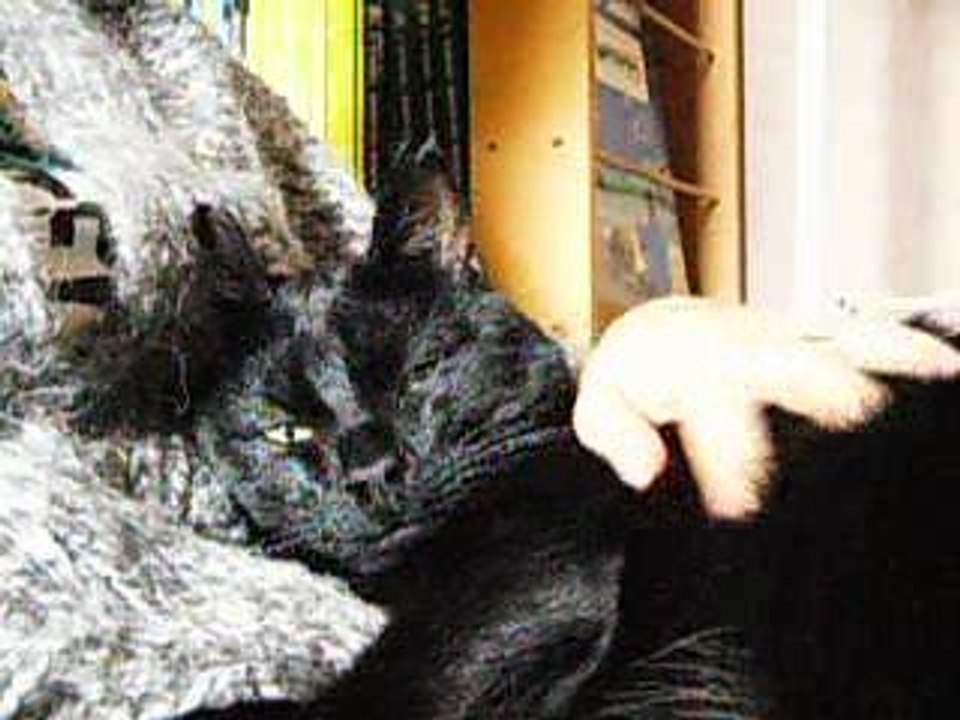 Soudan fait un câlin