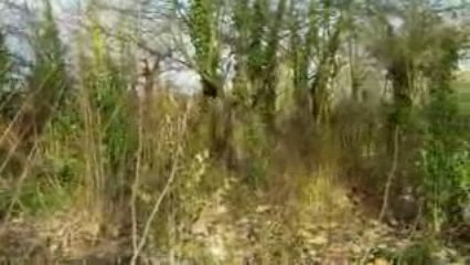 Test  Camileo H 20  Vincennes