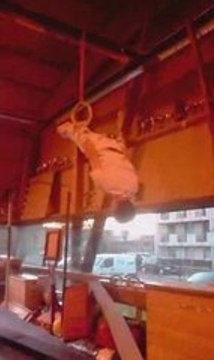 Pap anneaux gym crepy