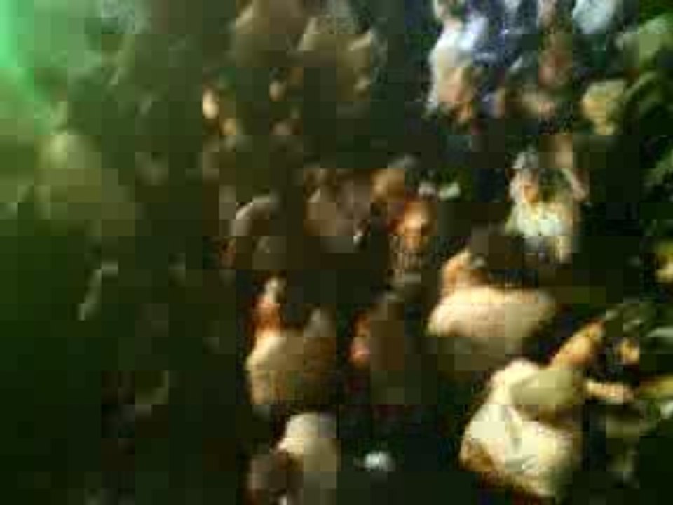 Fin de soirée Expo Jura Tuning