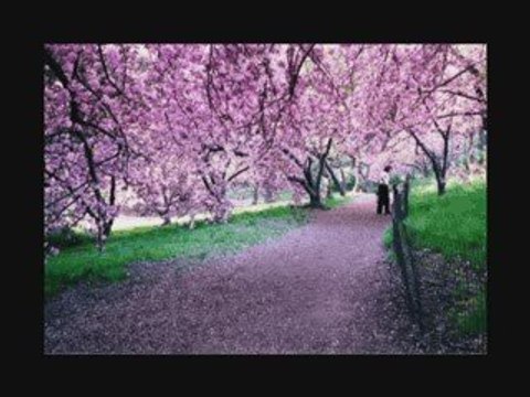 LUMINITA SOARE: MY WAY ( FRANK SINATRA AND PAUL ANKA