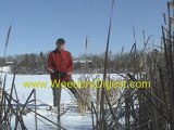 Shoreline Management on Northern Lakes