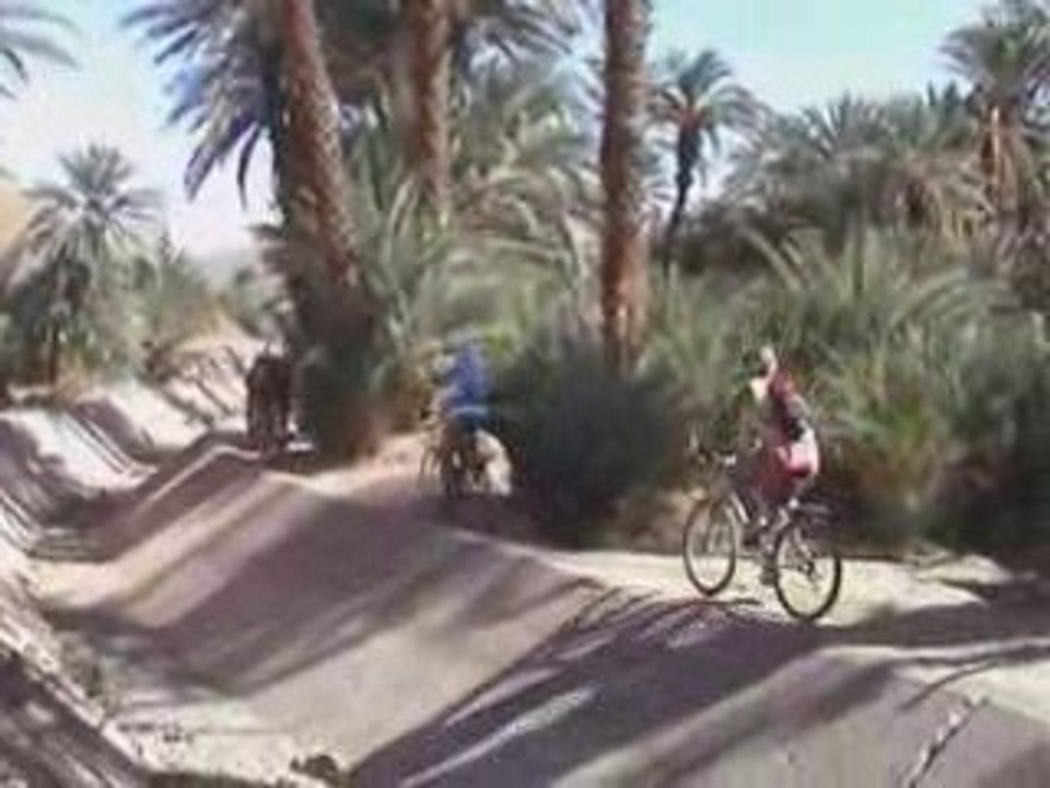 SAHARA 2