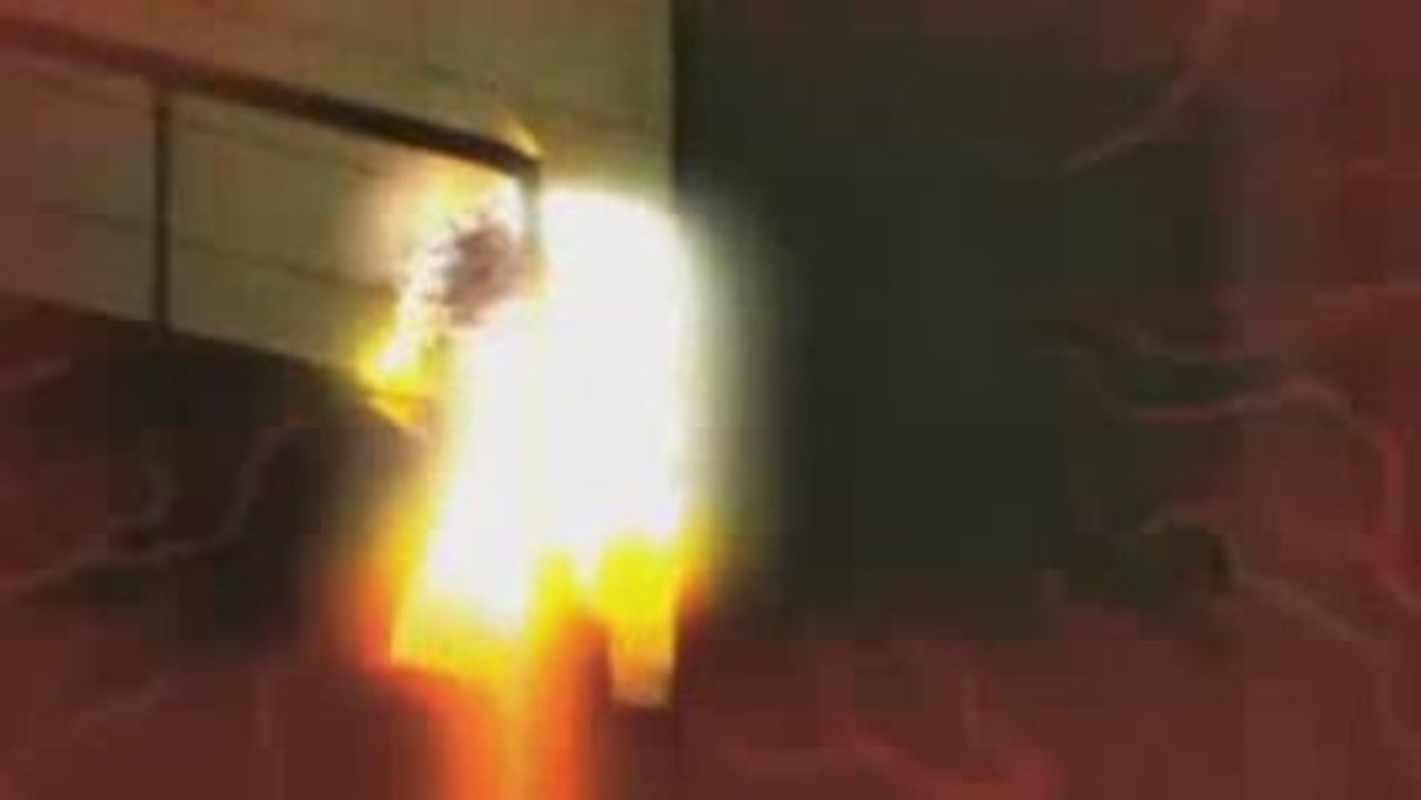 New Trailer The conduit