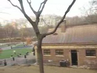 Central Park 2009