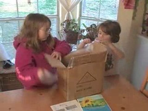 Phone Raiser - Fundraising Ideas - Keys To Success