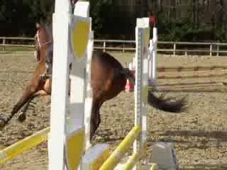 Concours CSO 08/03/09 Not Bad