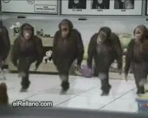 maimunebi rachuli cekva