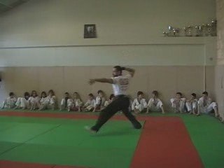 Taiji tanglang quan LanJie