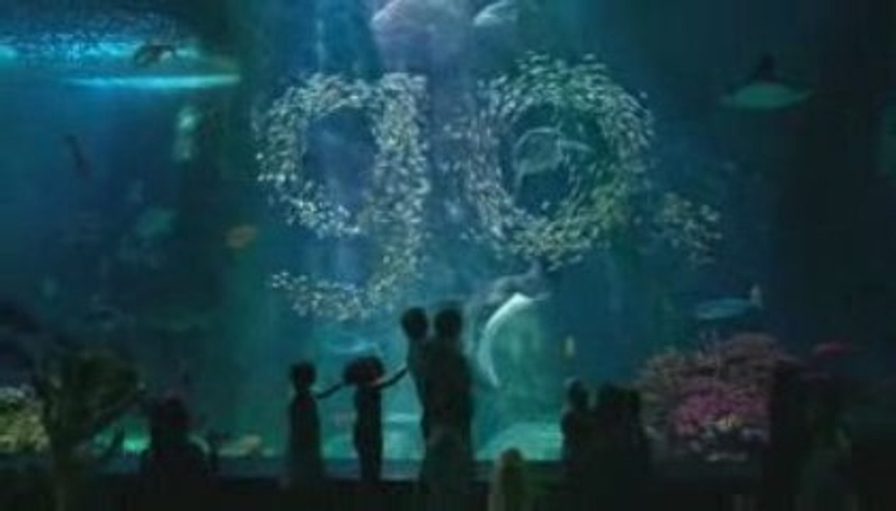 Visa - Aquarium