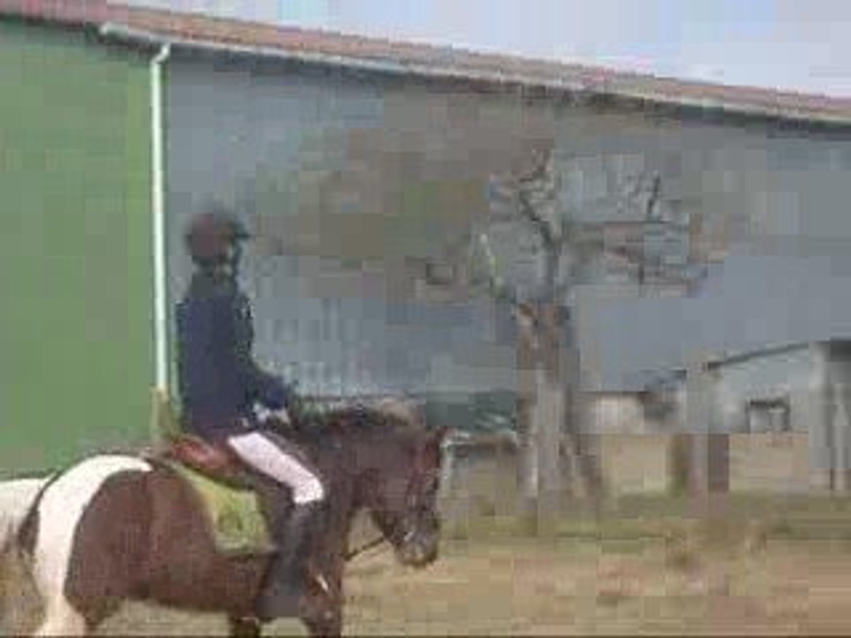7-03-09 Trot Part 1