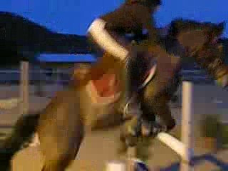 ma jument et moi en concours a l'estang