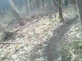 Rando VTT de Naintré, le 08 Mars 09 (2)