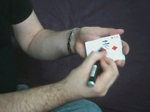 Thumbnail