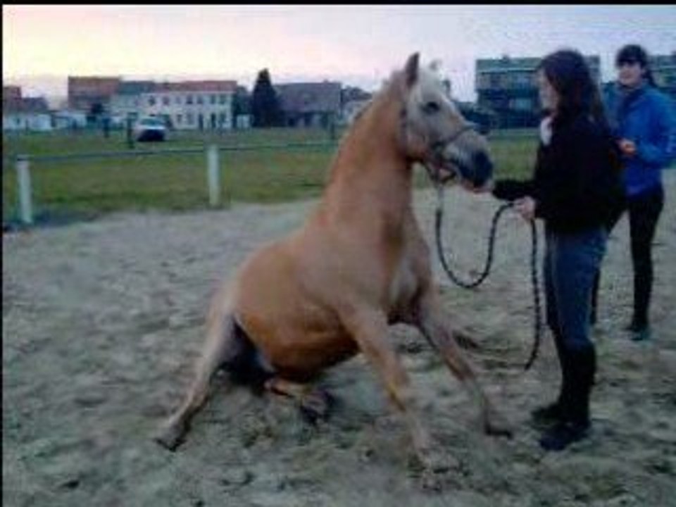 8mars2009