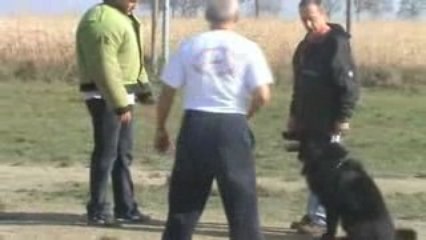 groendal bon travail lancer et defense du maitre