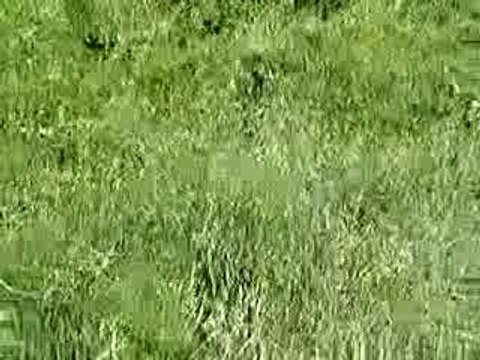 Discours de la methode