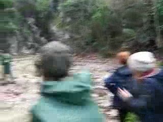 Ağaçlı Köyü Davutlar Yürüyüşü 2