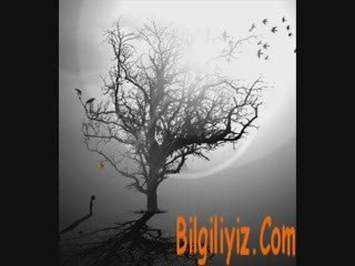 Can Yücel - Bağlanmayacaksın - Bilgiliyiz.Com