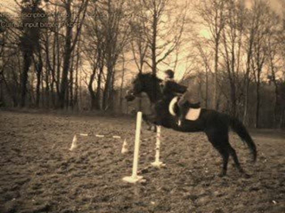 Saut sur vertical 70 cm