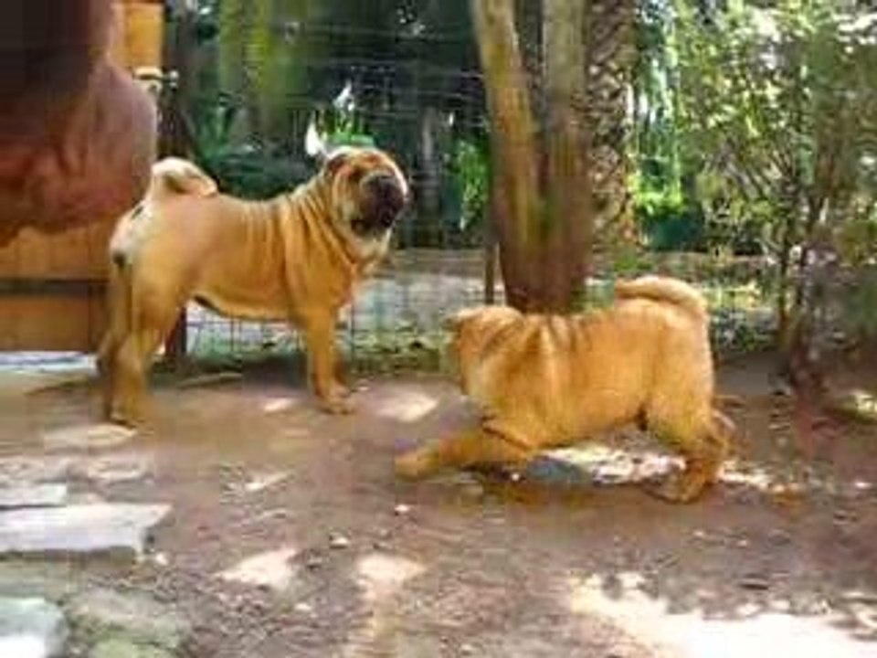 3mois_1semaine_VIDEO (2)