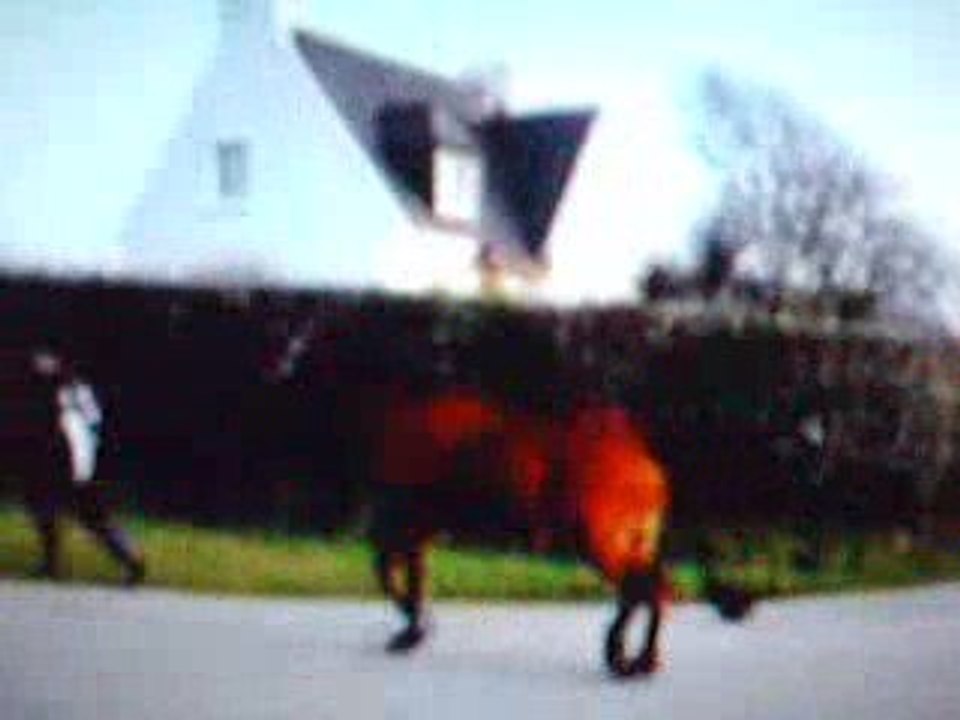 HPIM3684