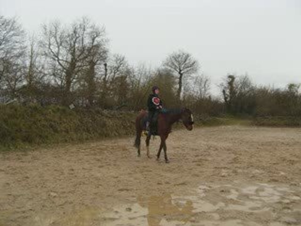 Essaiselle_0001