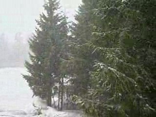 2009 03 09 002 Neige tombante