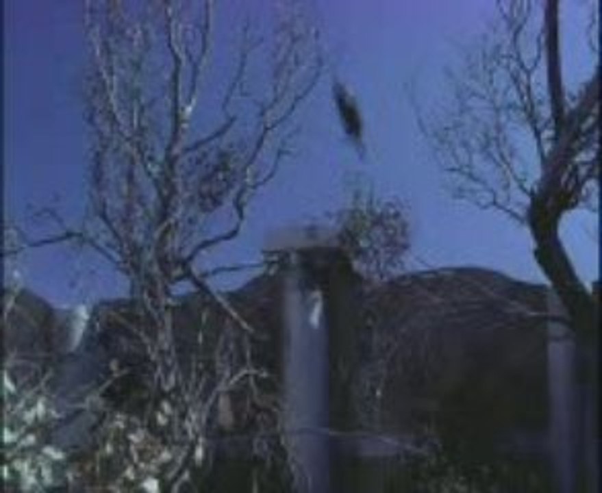 Charmed 10