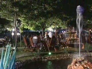 Kamelia - Sakis Coucos - proklinai me