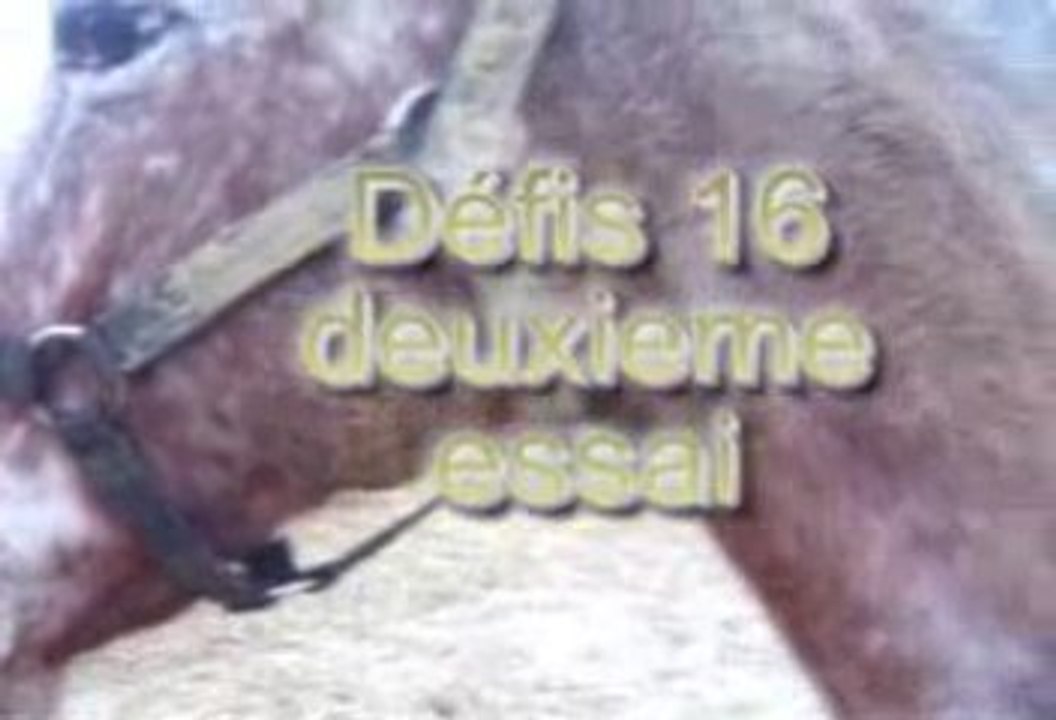 Défis16