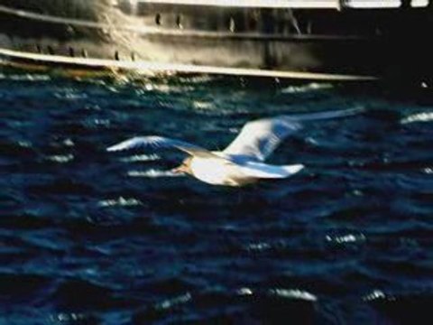 S'évader dans la rade