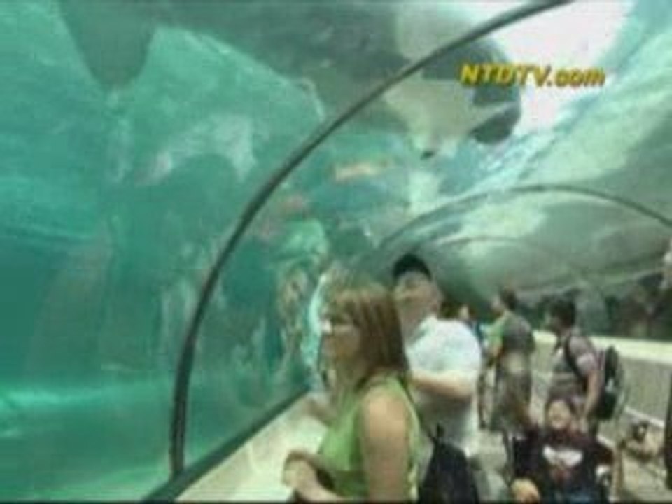 30min World News NTDTV March 9th 2009