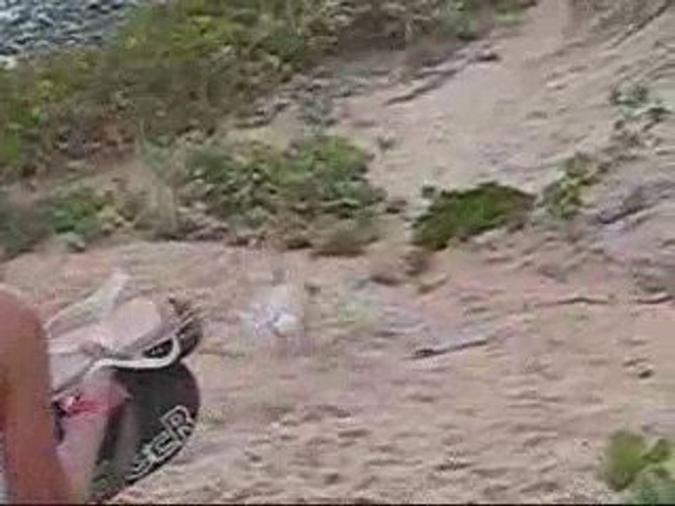Video faro