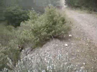 Un petit saut qui fait mal