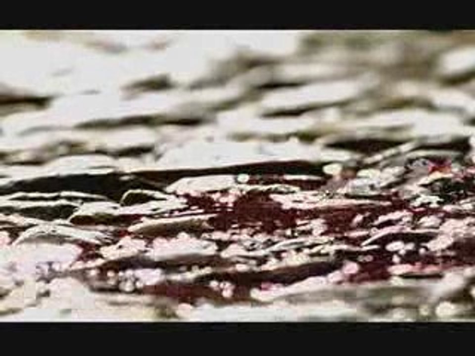 Father Killed, Young Boy Castrated, Yet Still Loyal Serva...