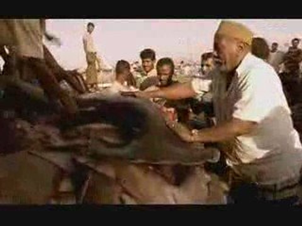 Jaws: Ugliest, Heaviest Sharks in World's Biggest Market