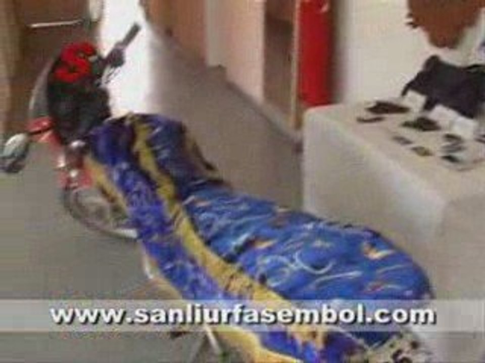 Kapkaç Zanlı son