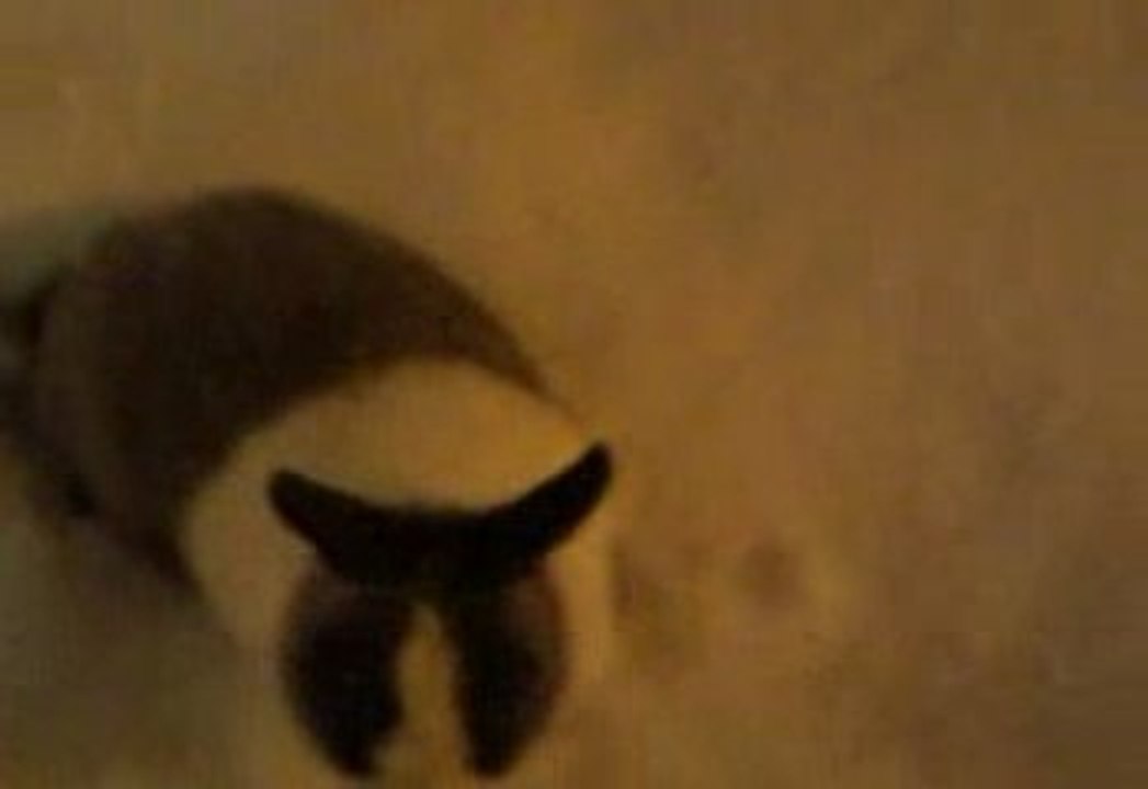 Ma fille dans la neige